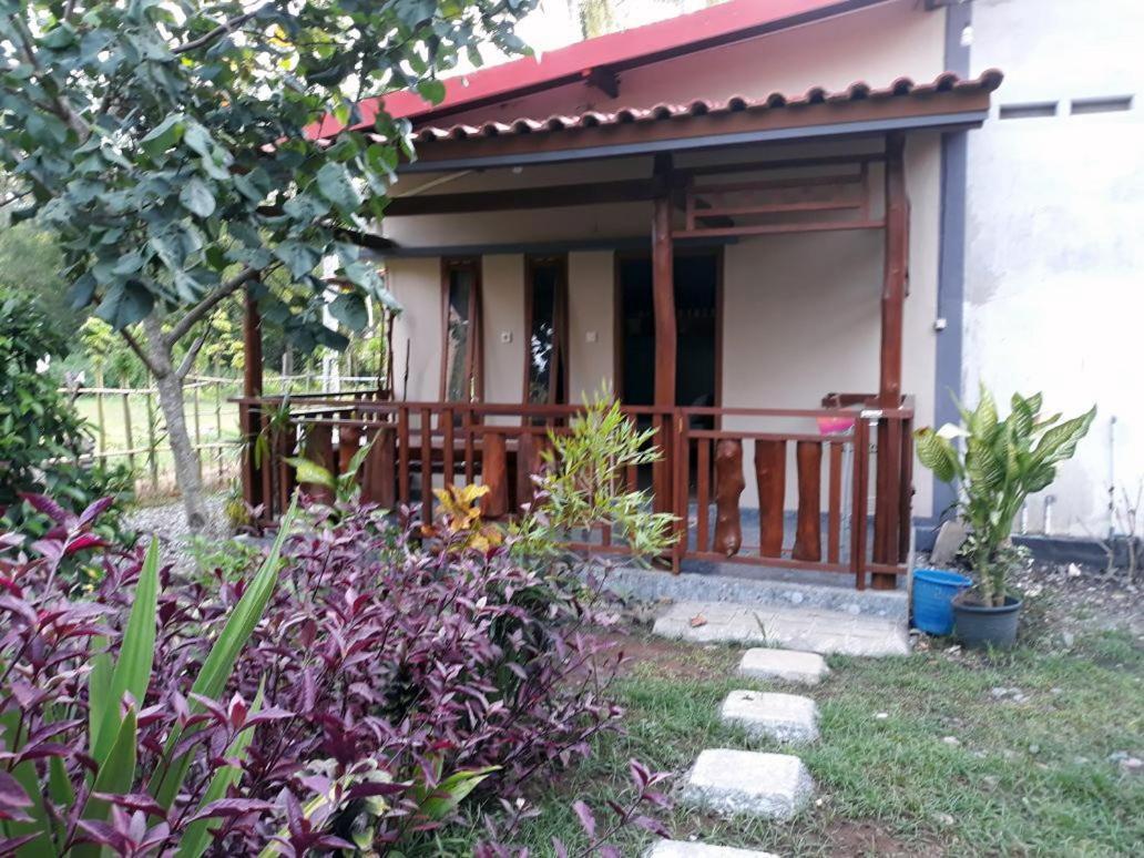 Red Island Bungalows Pasanggaran Pokój zdjęcie